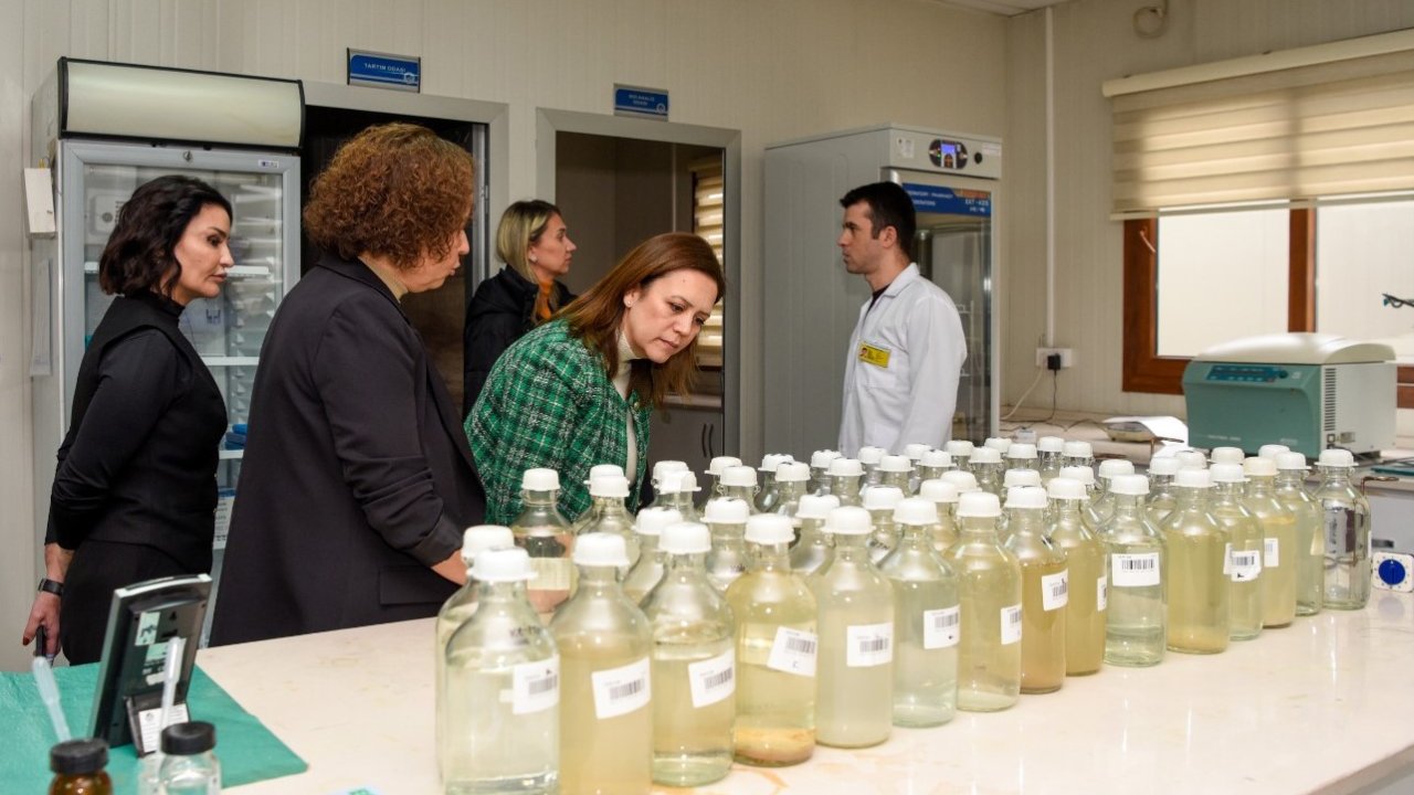 MESKİ Su Analiz Laboratuvarı, TÜRKAK denetimini başarıyla tamamladı