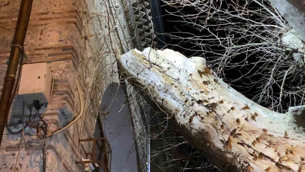 550 yıllık çınar, tarihi İshakpaşa Camii’nin üzerine devrildi