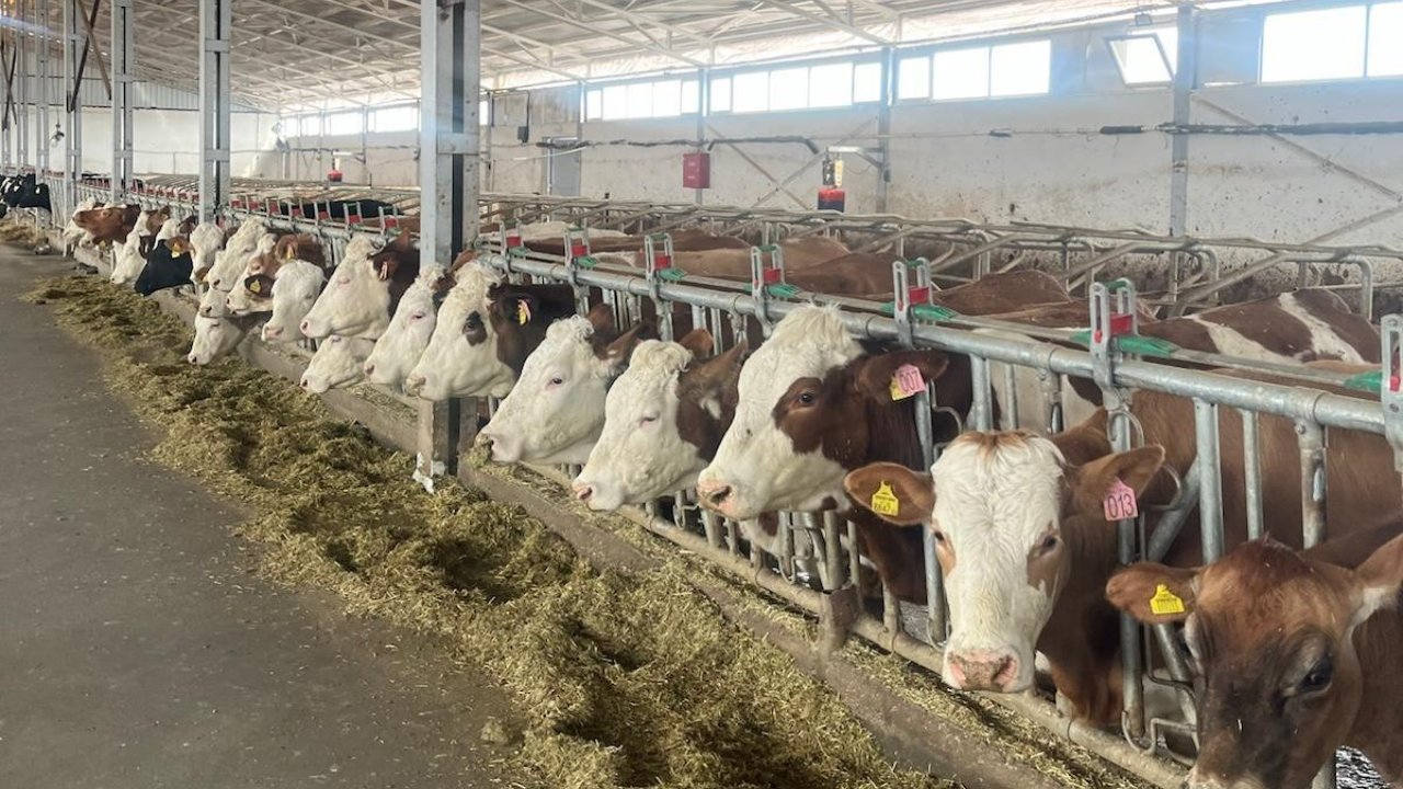 Erzincan’da 4 işletme arilik için başvurdu