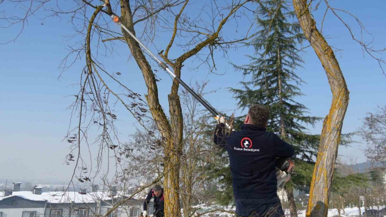 Kırılan dallarda temizlik başladı