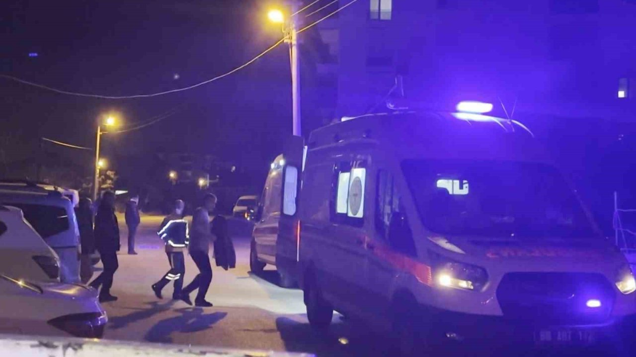 Komşuların gürültü kavgasında 2 kardeş tüfekle vuruldu