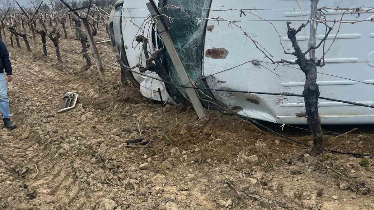Boş minibüs üzüm bağlarının arasına uçtu: 1 yaralı