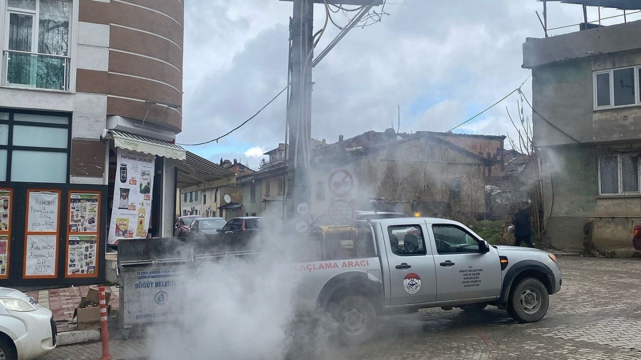 Söğüt Belediyesi’nden sinek ve larva ilaçlama atağı
