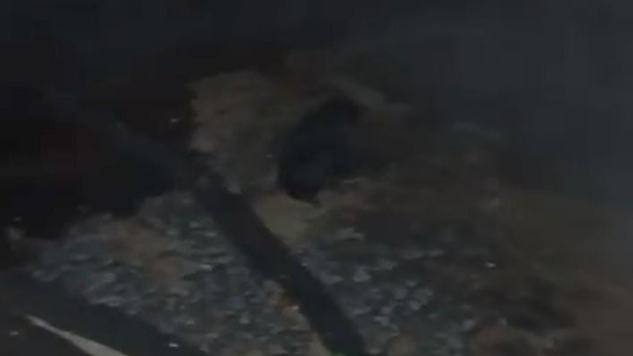 Ahırda çıkan yangın söndürüldü