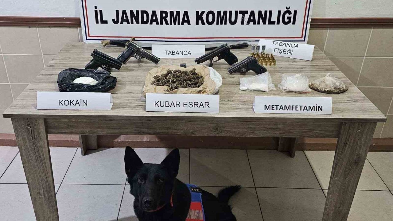 Jandarma ekipleri Şubat ayında 61 şahıs hakkında yasal işlem yaptı