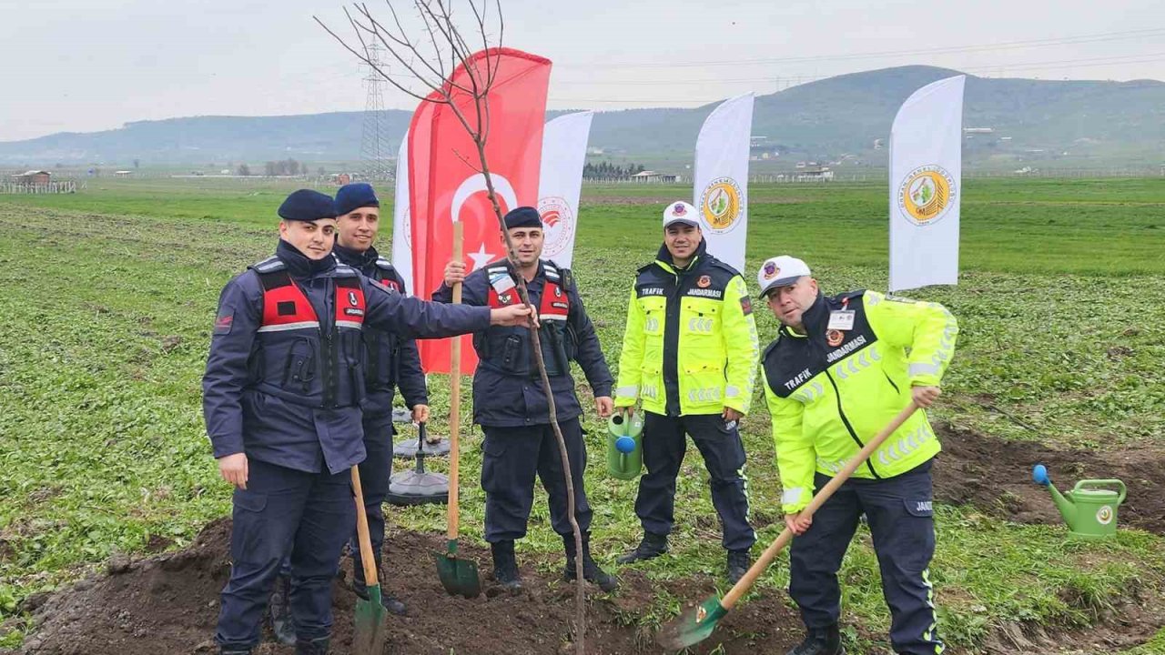 Balıkesir’de ağaçlandırma çalışmaları devam ediyor