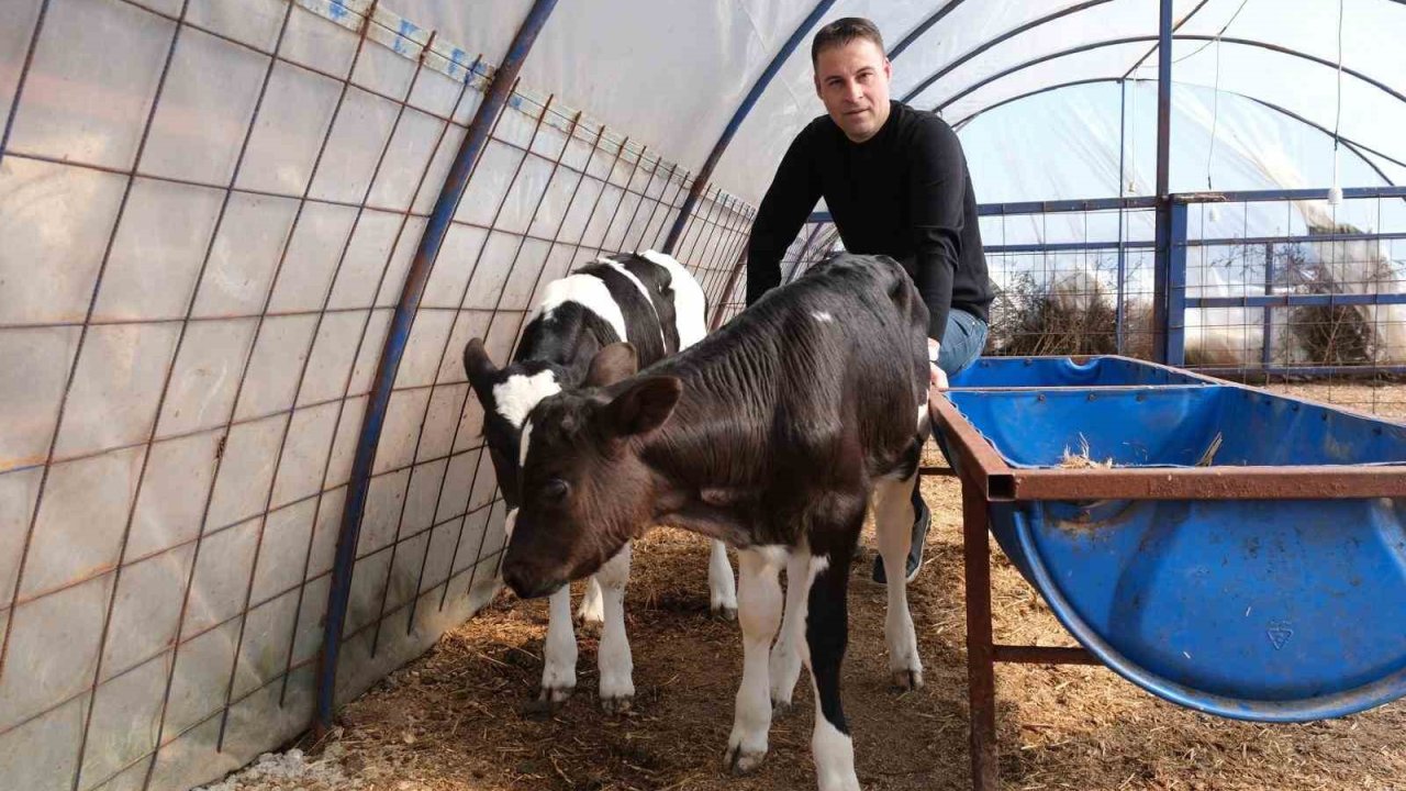 Arif Uyguner: "Üreticimizin emeğini korumak için geliyoruz"