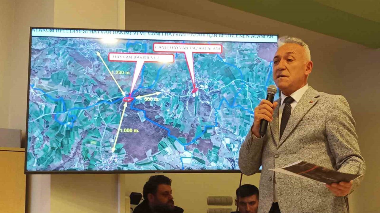 Atakum meclisinde gündem ‘hayvan barınağı’