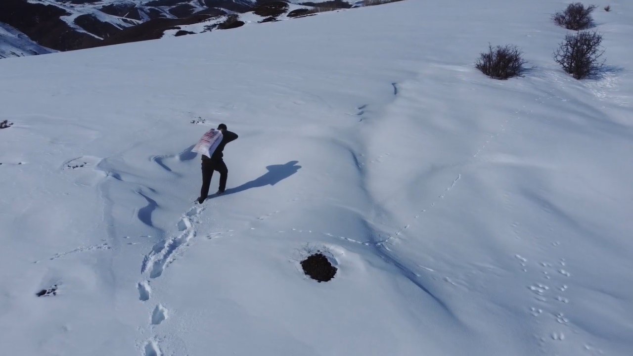 Bayburt’ta yaban hayvanları unutulmuyor: Karla kaplı araziye yem bırakıldı