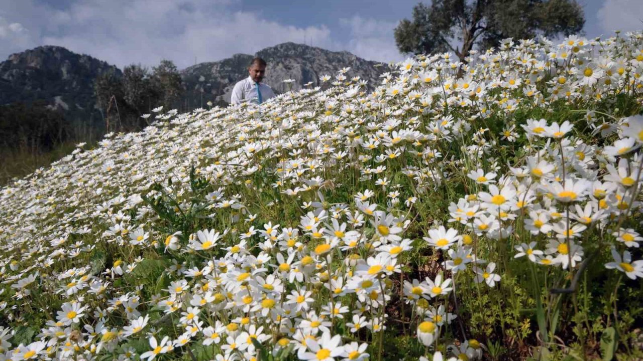 Baharın müjdecisi üçüncü Cemre toprağa düştü