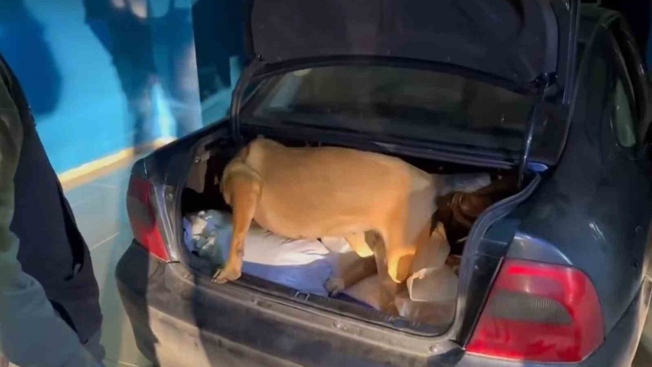 Bingöl’de uyuşturucu operasyonuna 2 gözaltı