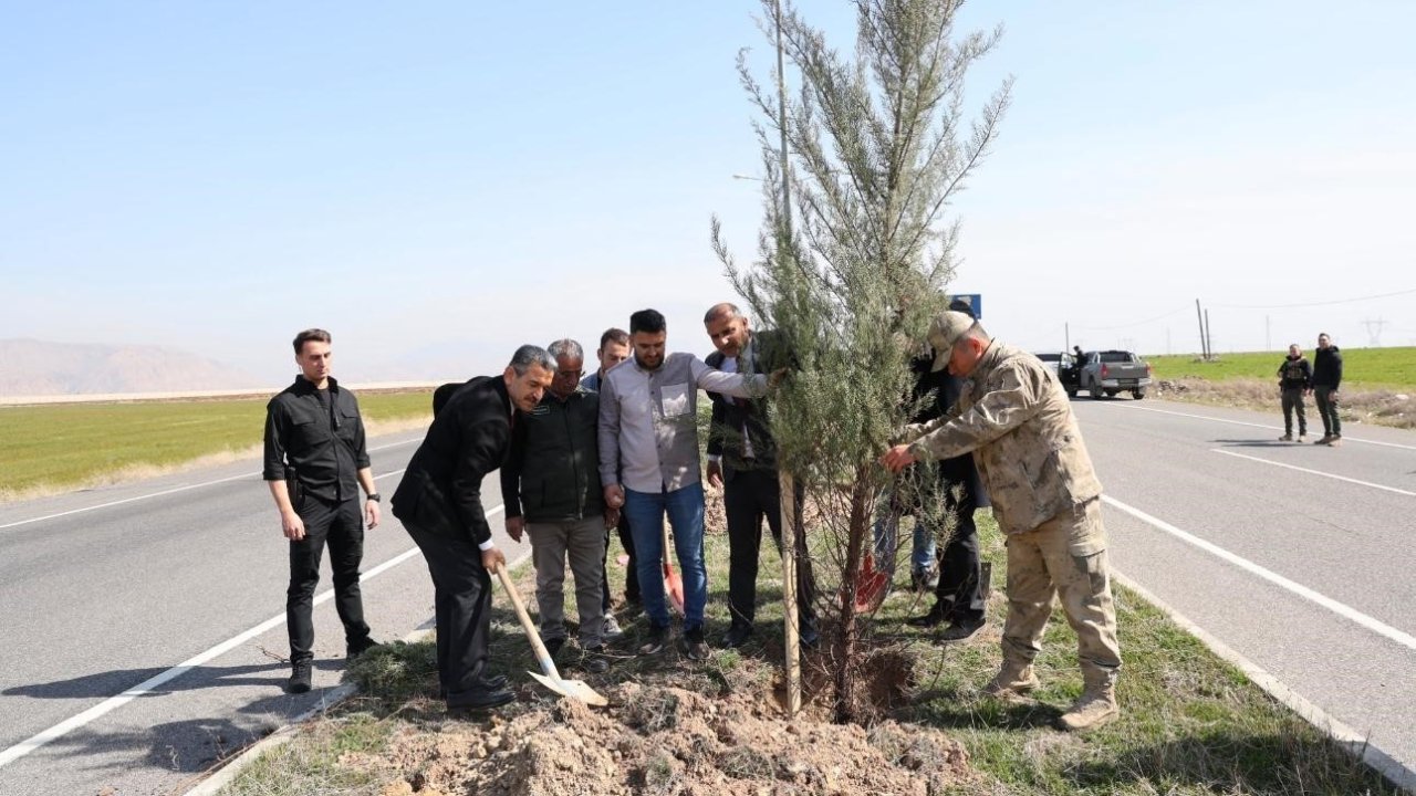 Şırnak Şerafettin Elçi Havalimanı’nda ağaçlandırma çalışması