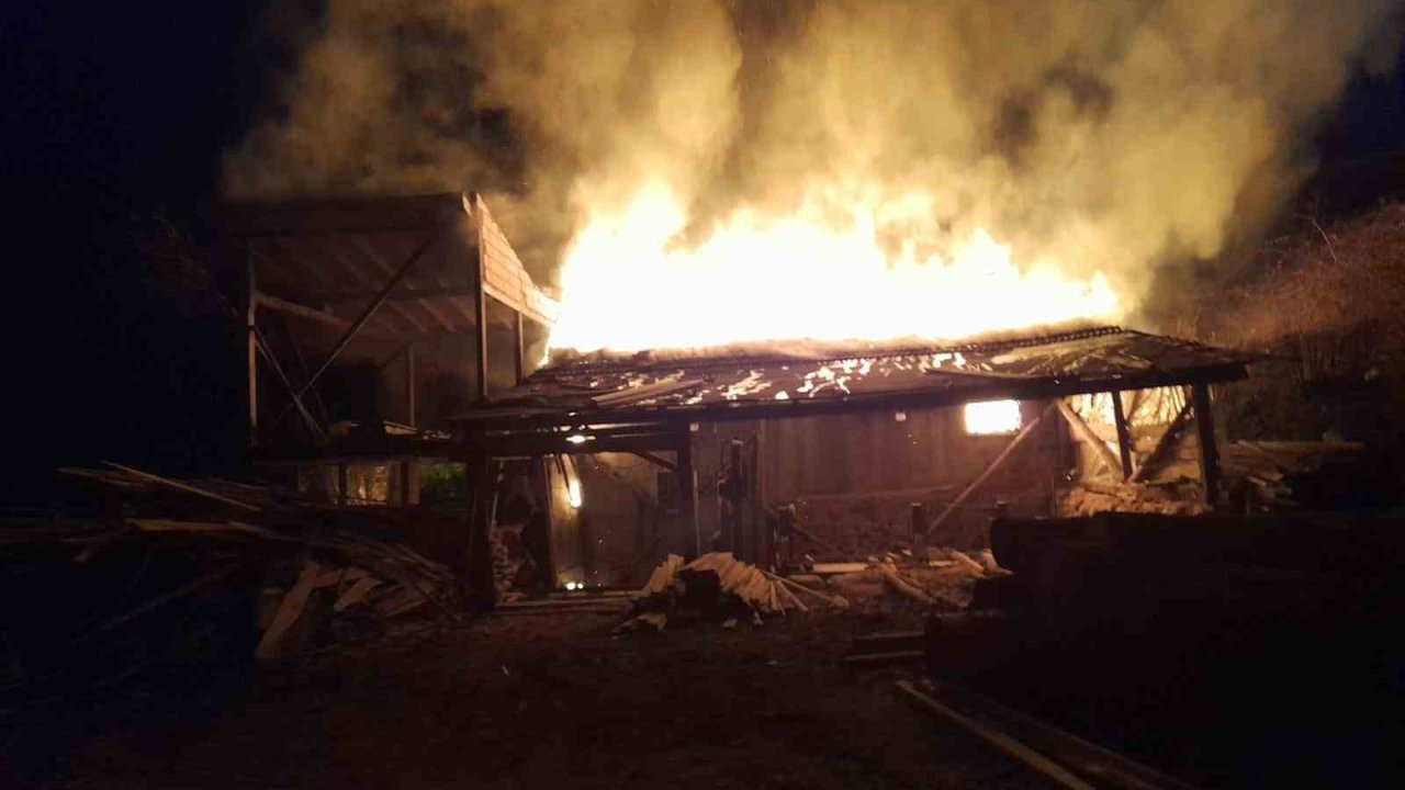 Tek katlı evde çıkan yangında yaşlı kadın hayatını kaybetti