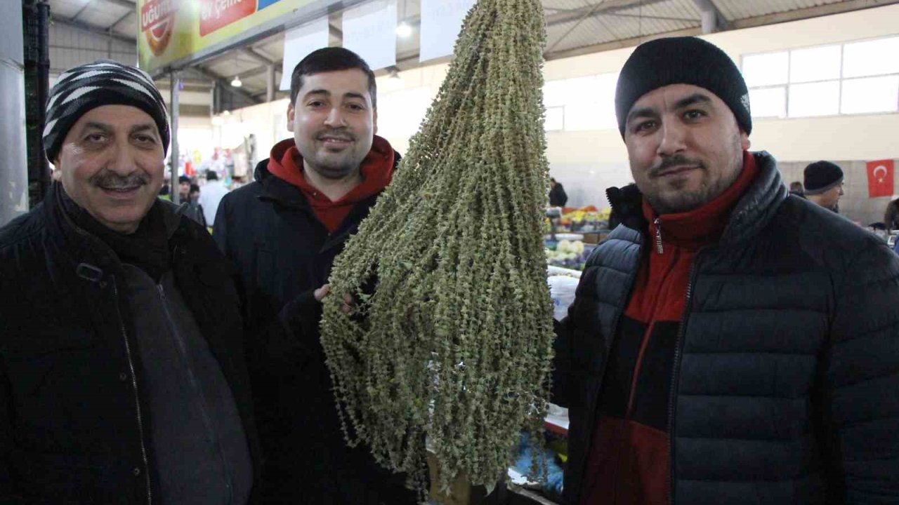 Amasya’da çiçek bamyanın fiyatı gram altını geçti, kilosu 3 bin 500 TL’den satılıyor