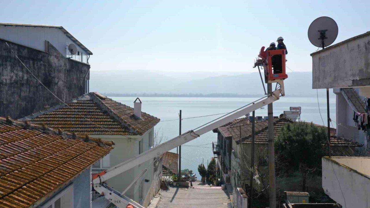 Yaren leylek ve komşularının yeni yuvaları hazır