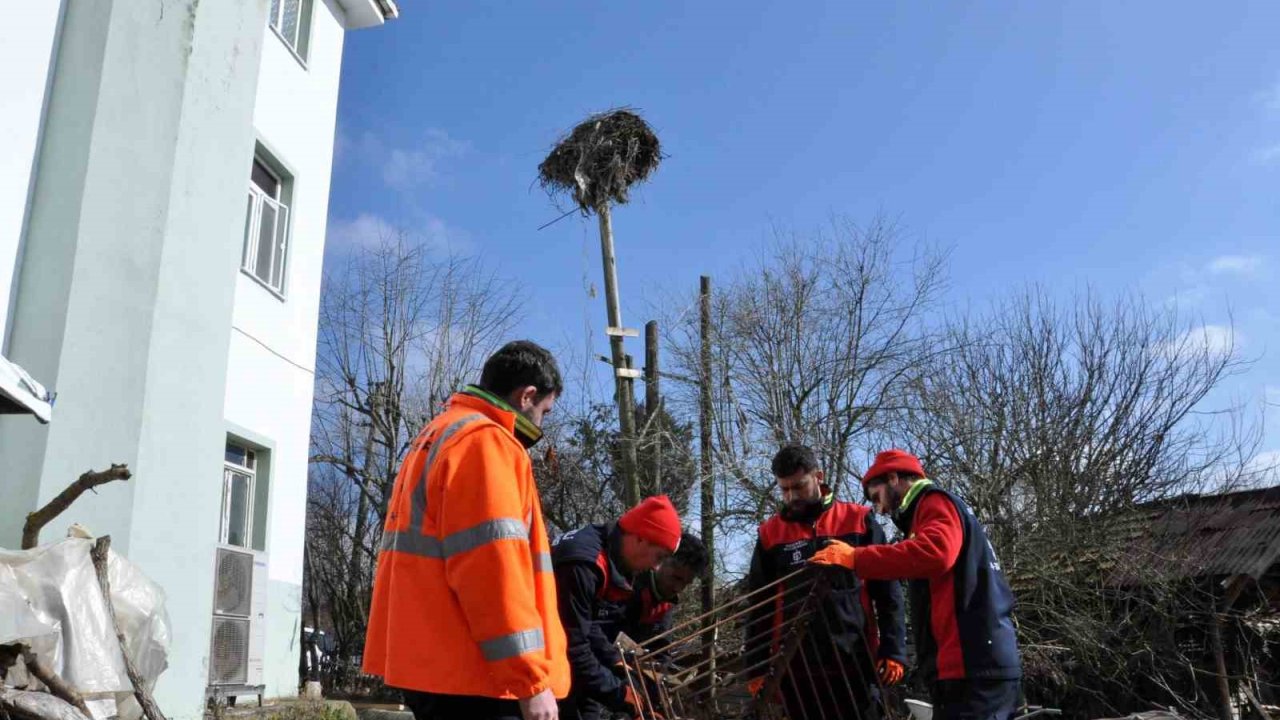 Leylek yuvasına güvenli dokunuş