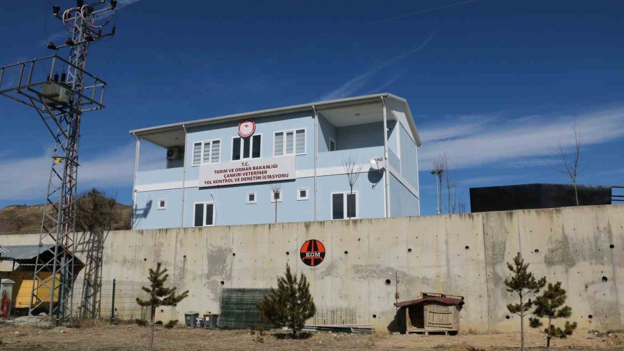 Çankırı’da kontrolsüz hayvan hareketleri denetlenecek