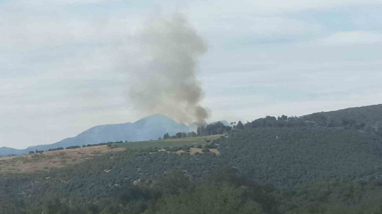 Kahramanmaraş’ta ormanlık alanda çıkan yangın söndürüldü