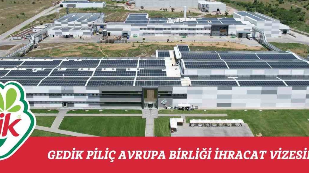 Gedik Piliç, Avrupa Birliği ülkelerine ihracat yapacak