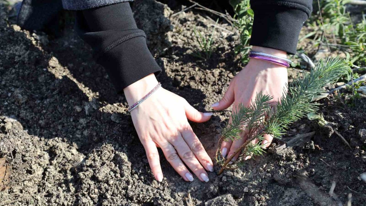 İzmir Ekonomi’den kadın çalışanlarına ‘hatıra ormanı’