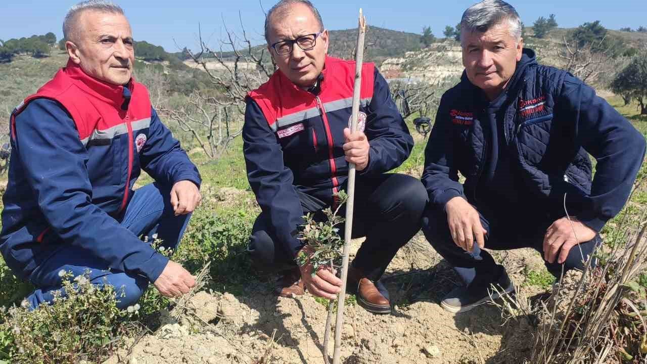 Kuşadası ve Didim’de 540 adet sakız fidanları toprakla buluştu
