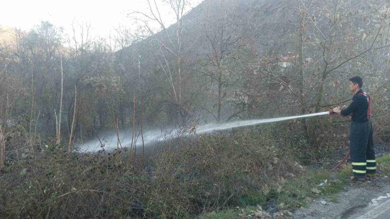 Bilecik’te arazi yangını kısa sürede söndürüldü