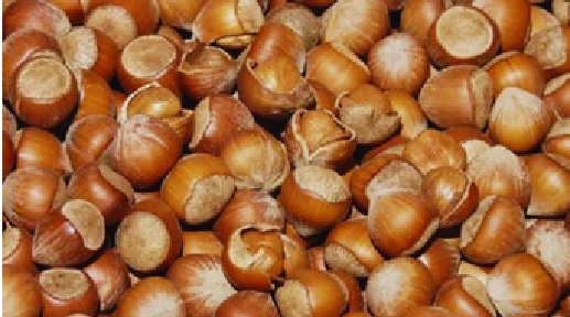 Trabzon Haber: Ekonomi ve Tarım Destekleri ile Güçleniyor!