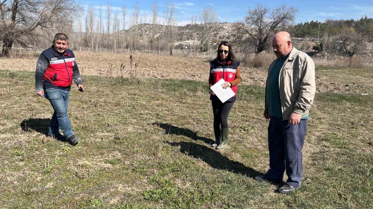 Kütahya’da tarla faresine karşı etkin mücadele çalışmaları