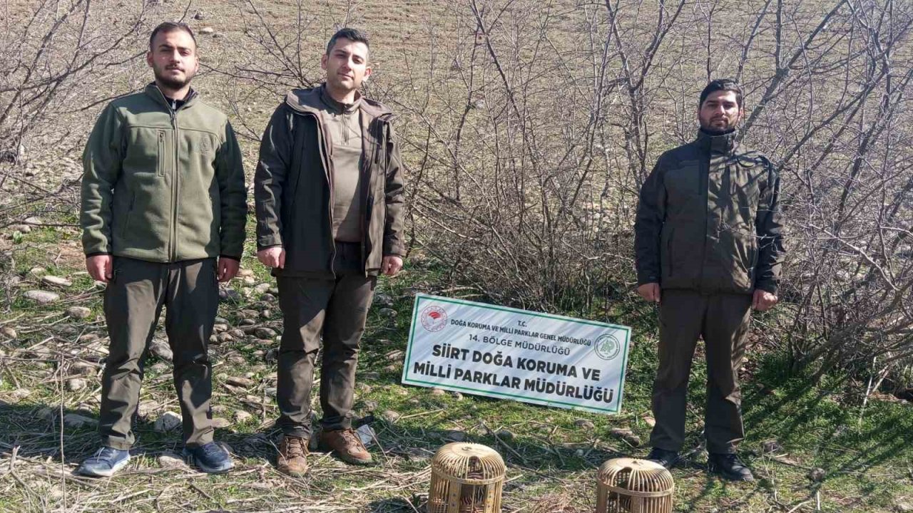 Siirt’te kaçak ava 28 bin lira ceza