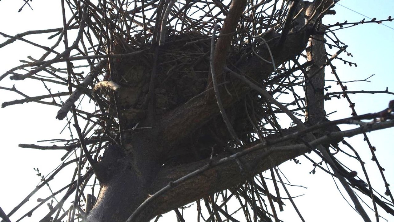 Doğaya saygının en güzel hali