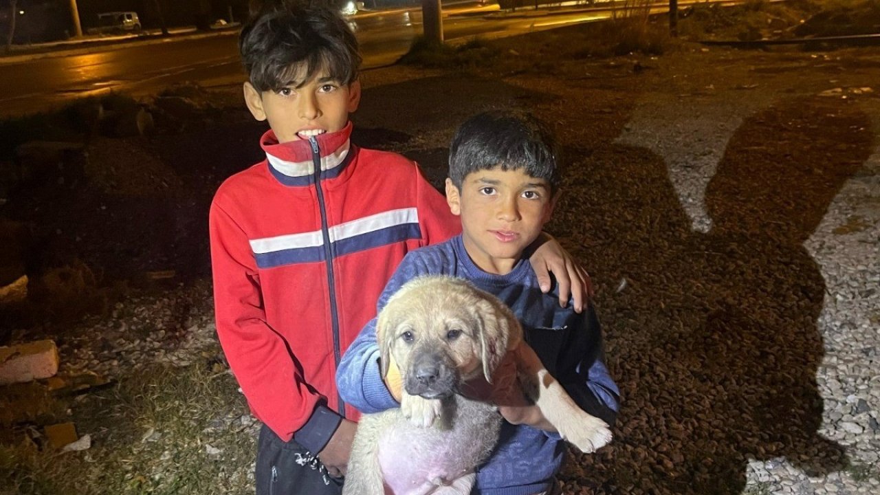 Kuyuya düşen yavru köpek, itfaiye ekiplerince kurtarıldı