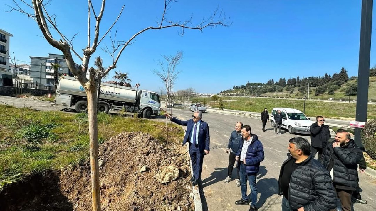 Malta Deresi’nde yenileme çalışmaları başladı