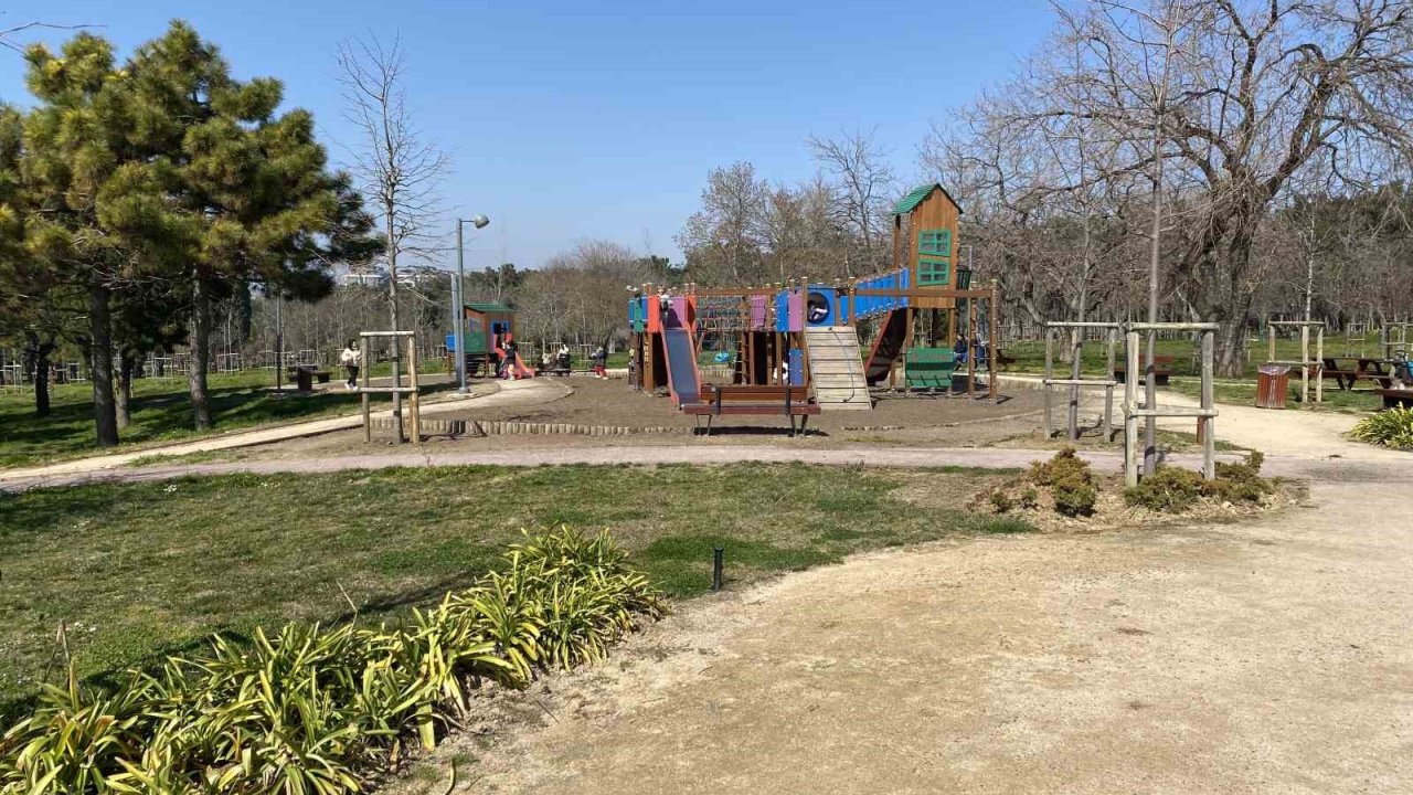 Florya Atatürk Ormanı’nda başı boş köpekler vatandaşları tedirgin ediyor