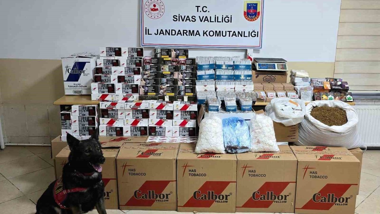 Tütün kaçakçılığına jandarma engeli