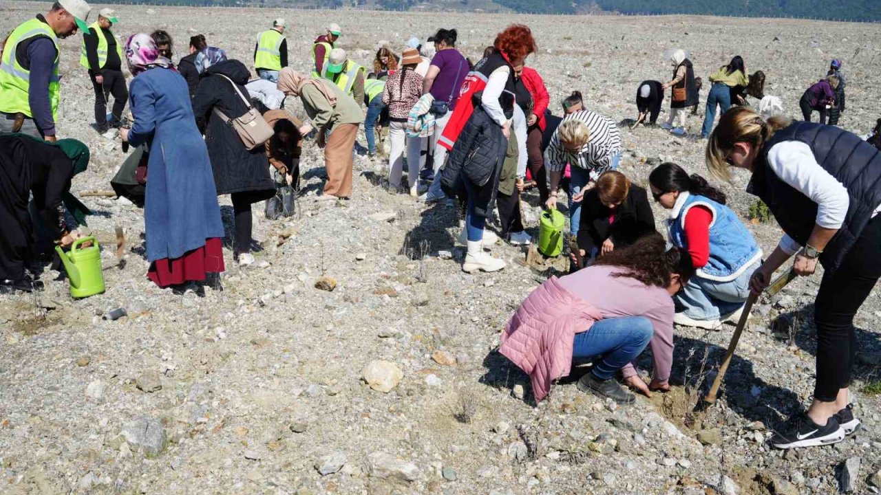 Edremit’te "Aile Yılı" kapsamında lavanta fidanı dikildi