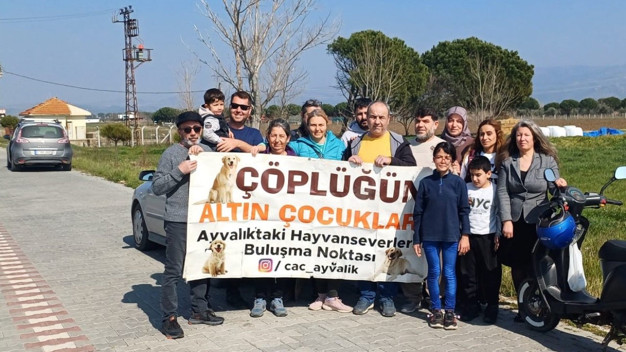 Ayvalık’ta hayvanseverler kuruyan ağaçların yerine yeni fidanlar dikti
