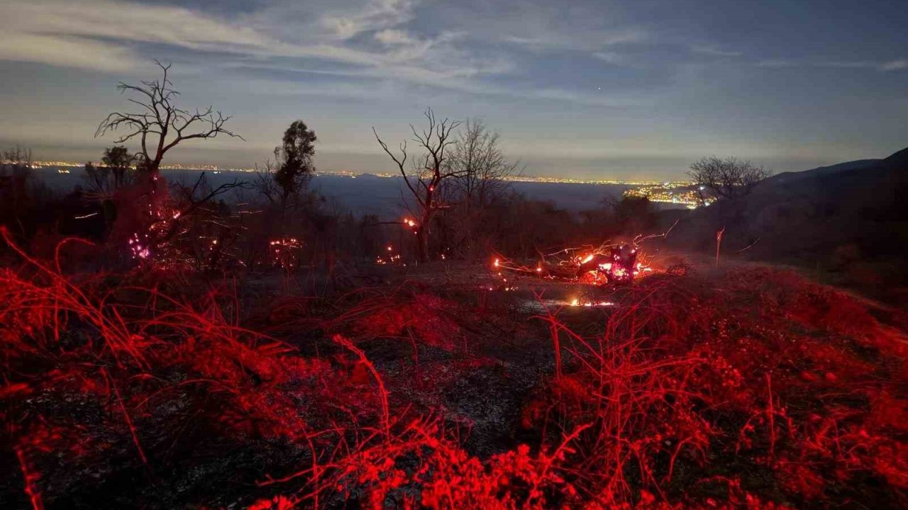 Yalova’daki orman yangını kontrol altına alındı