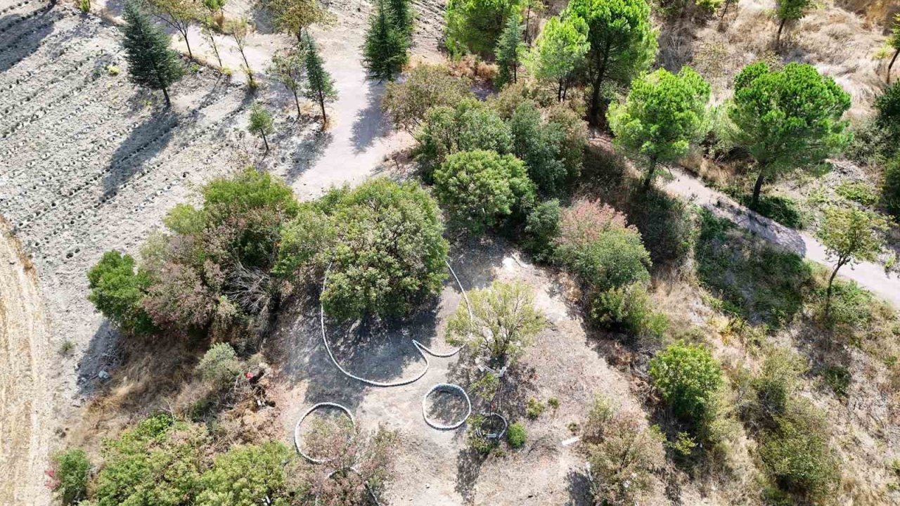 Botanik bahçesi yeni büyümeye devam ediyor