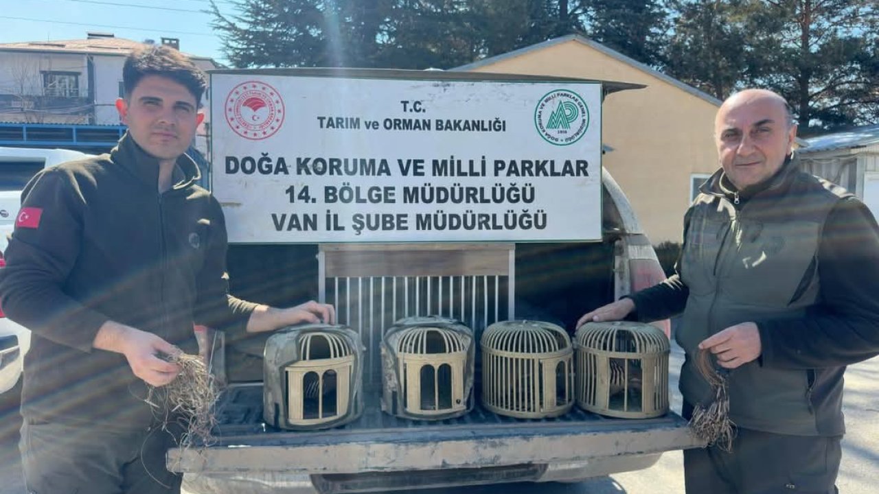 Van’da keklik avlayan 3 kişiye 93 bin lira para cezası uygulanacak