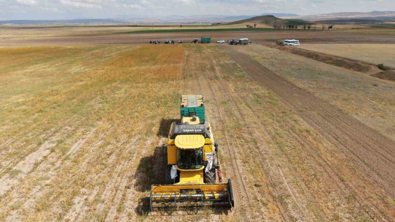 Kayseri’de 620 bin hektar ekili alan var