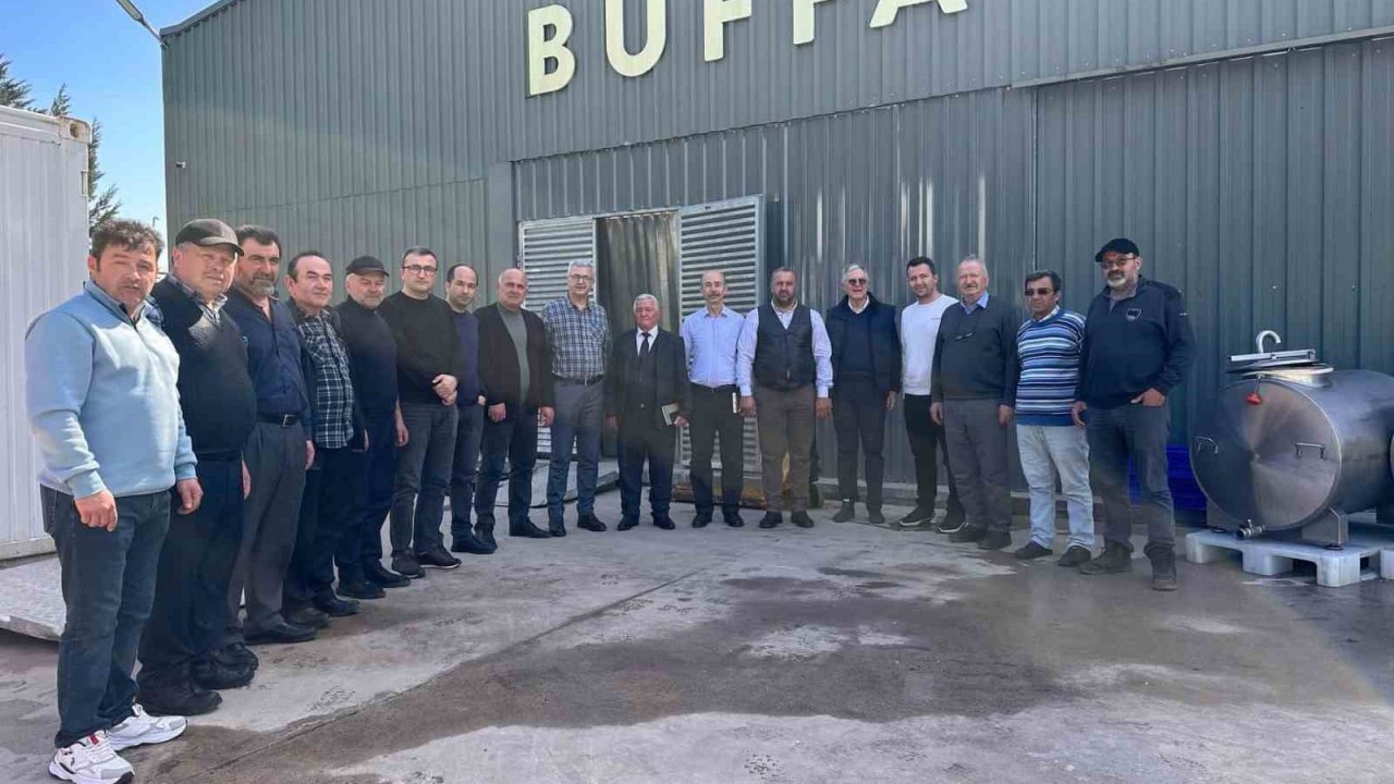 Çaycuma’da Manda Yetiştiriciliği İçin Araştırma Gezisi Düzenlendi