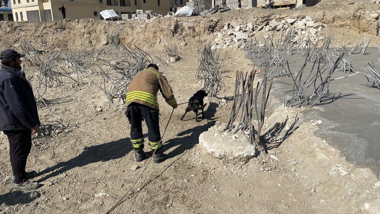 İnşaat alanındaki 15 metrelik çukura düşen köpek kurtarıldı