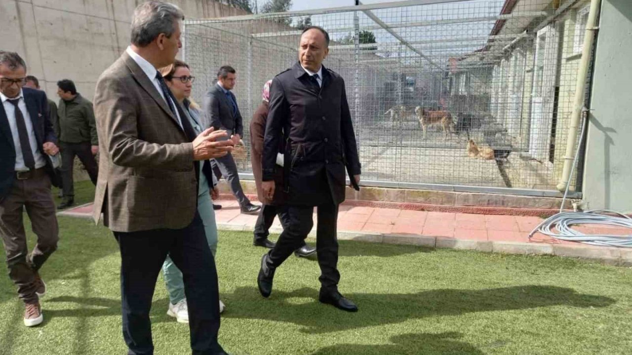 Muğla Büyükşehir Geçici Hayvan Bakım Evi’nde inceleme