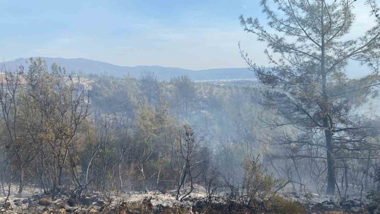 Osmaniye’nin Düziçi ilçesinde çıkan orman yangını söndürüldü