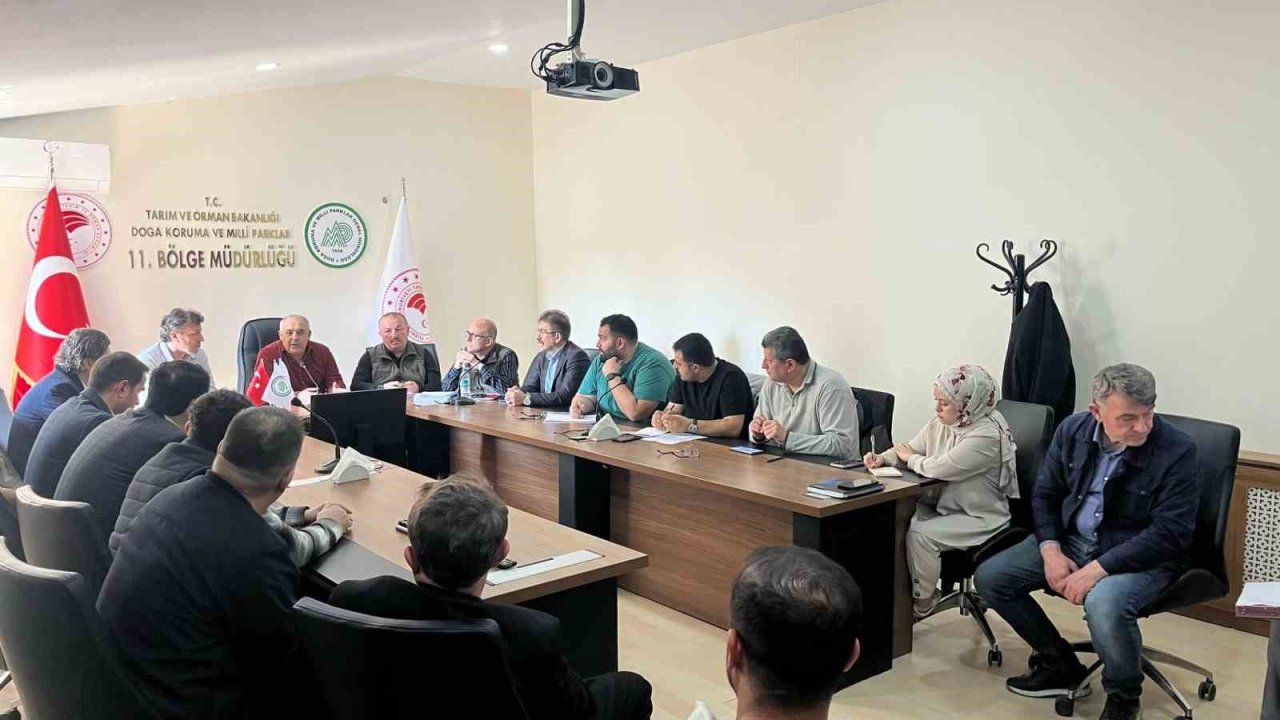 Samsun’da sahipsiz hayvanların toplanması görüşüldü