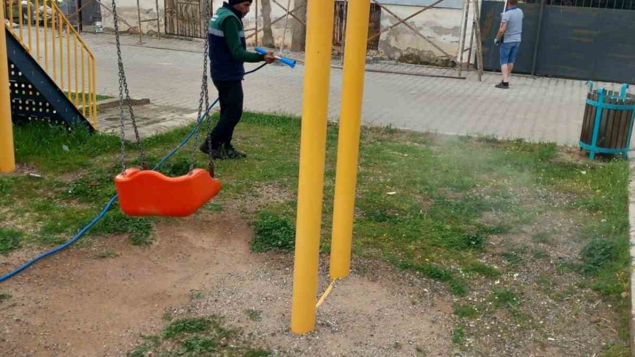 Karacasu’da yabani ot mücadelesi başladı