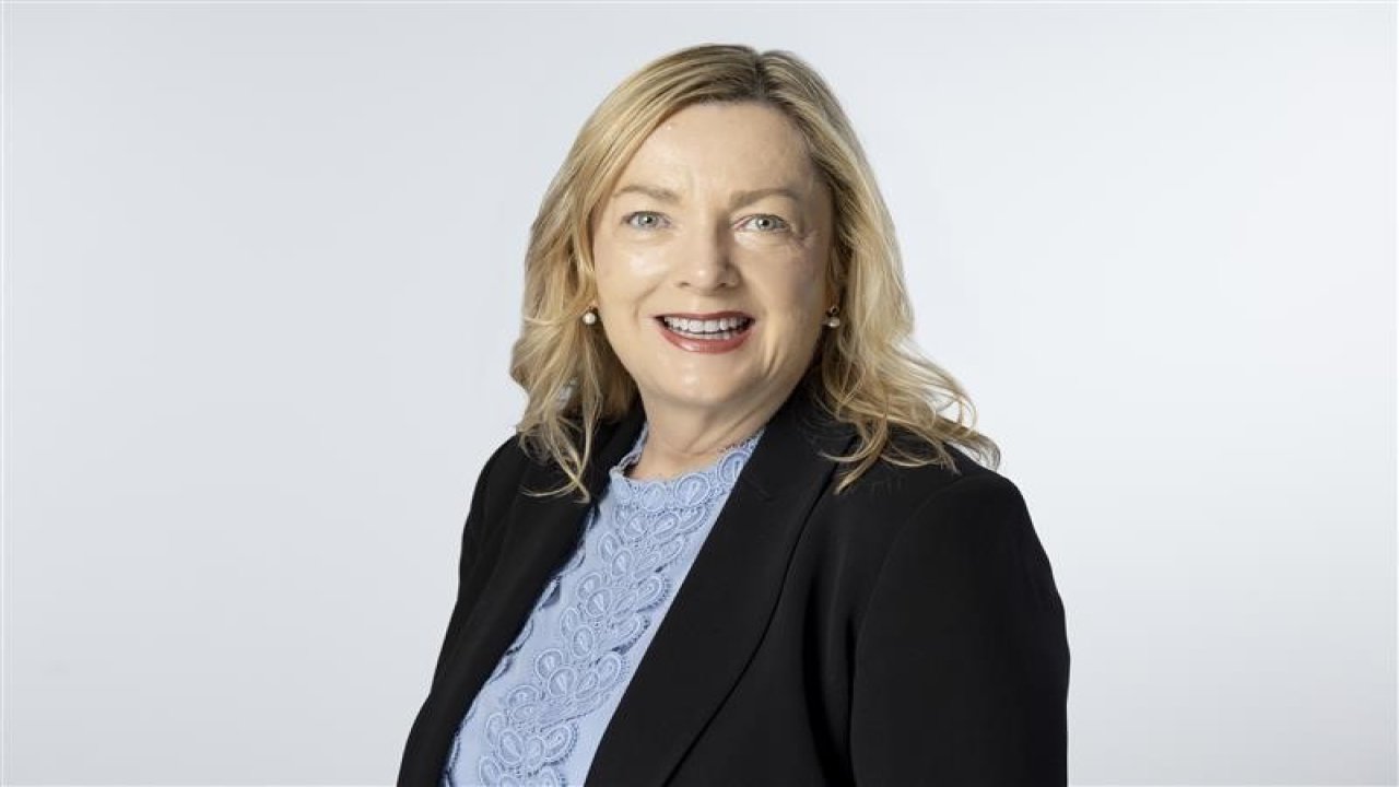 Yıldız Ventures’ın desteklediği pladis hızlandırma programı başlıyor