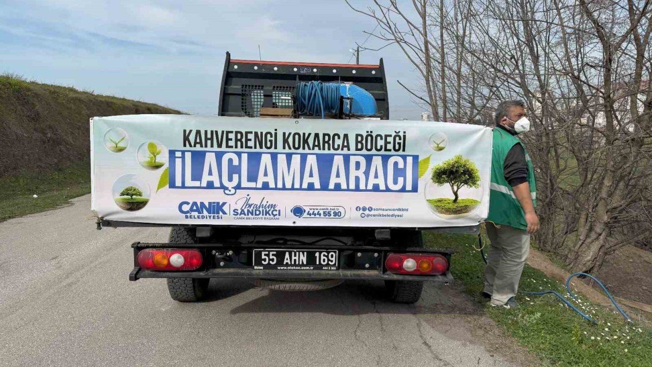 Tarımın düşmanı kokarcayla ilaçlı müdahale