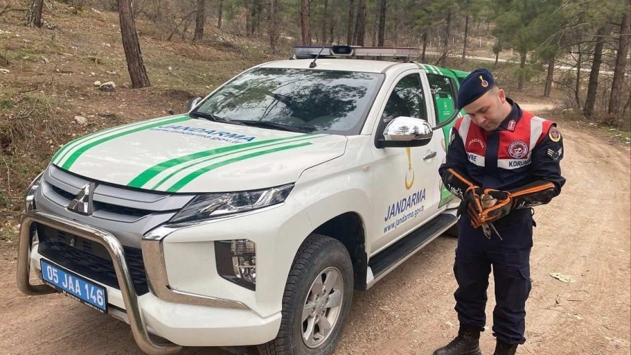 Amasya’da yaralı bulunan atmacaya HAYDİ şefkati