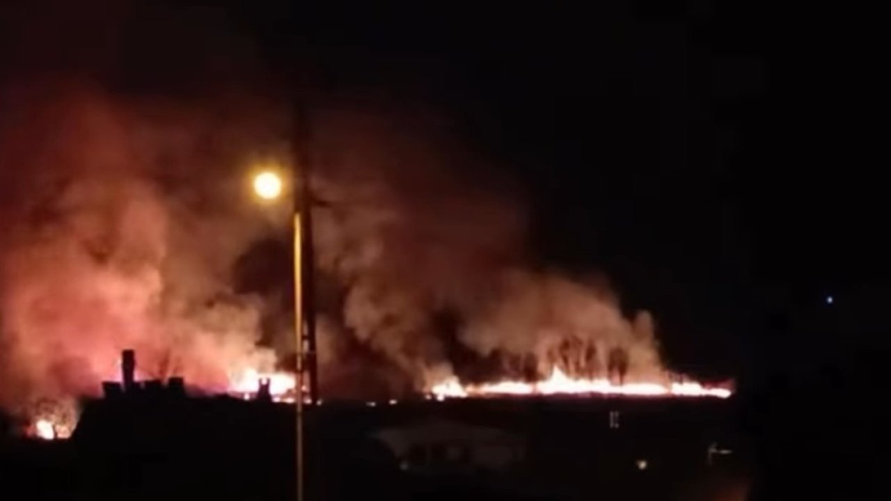 Van’da sazlık alanda yangın
